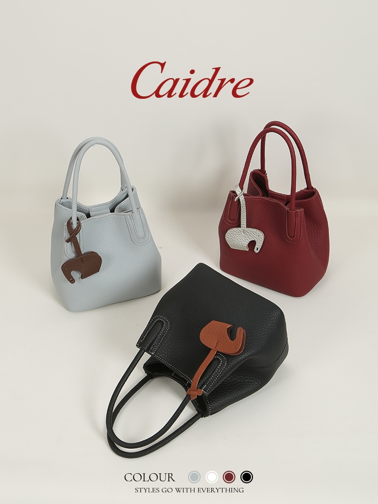Caidre Luxury Tote Bag 2026 Ne - đánh giá và giá Luxury Bags Japan